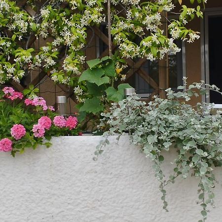 Apartmani Lucica イェゼラ エクステリア 写真