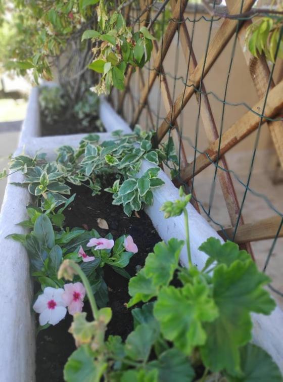 Apartmani Lucica イェゼラ エクステリア 写真