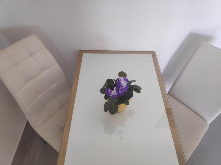 Apartmani Lucica イェゼラ エクステリア 写真
