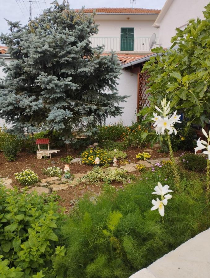 Apartmani Lucica イェゼラ エクステリア 写真