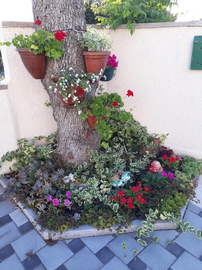 Apartmani Lucica イェゼラ エクステリア 写真